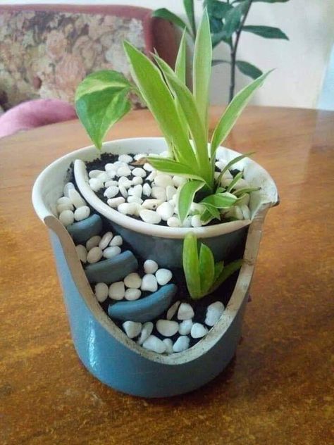 Take some small pebbels, add broken pieces inside the mug/cup with pebbels inside..add some seedlings or artifcial plant of small size...you have a aesthetic looking decoration in your living room..it's smart engineering | home decor | interior design | smart architecture| cheap interior decoration | mug decoration| cup| mug |cheap ideas| economical Broken Pot Garden, Fairy Garden Plants, Corner Plant, Mug Crafts, Art And Craft Videos, Outdoor Diy Projects, Creative Arts And Crafts, Diy Cups, Mosaic Diy