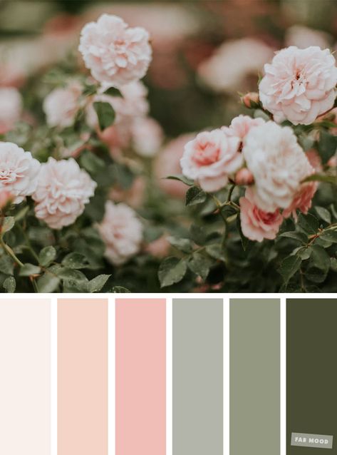 What Color Compliments Sage Green, Spring Theme Color Palette, Sage Green Blush Color Palette, Blush Colour Palette Wedding, Wedding Spring Colour Palettes, Sage Green And Blush Pink Wedding Colour Palettes, Spring Color Palette Pastel, Blush Sage Color Palette, Spring Inspired Color Palette