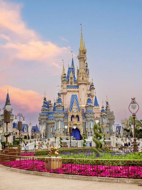 Disney World vs. Disneyland Castles: What to Know Disneyland Vs Disneyworld, Disney World Facts, Disney World Crowd Calendar, Disney Castles, Disneyland Castle, Disney 2024, Disneyland Pictures, Disney Trip Planning, Disney Memories