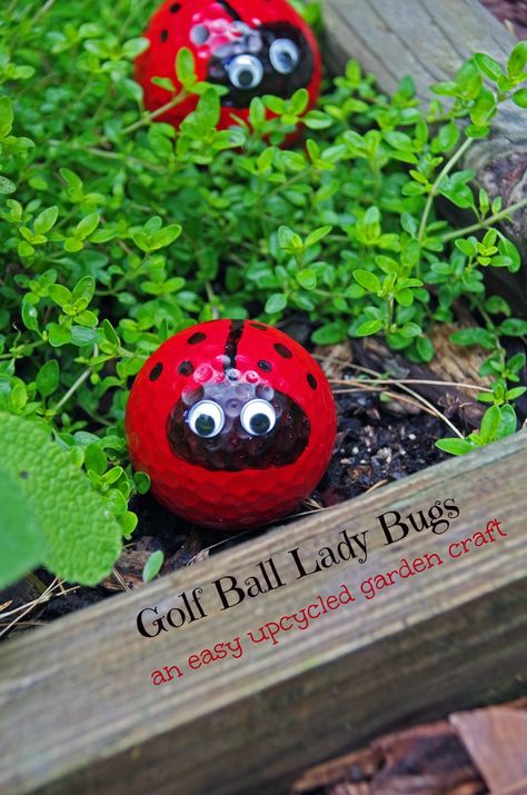 Golf Ball Lady Bug Craft Makes Very Pretty Upcycled Garden Decor! Could do this if I didn't lose my ball all the time. Golf Ball Art, Bug Craft, Golf Birthday Gifts, Diy Schneemann, Golf Ball Crafts, Upcycled Garden, Snowman Crafts Diy, Ladybug Crafts, Bug Crafts