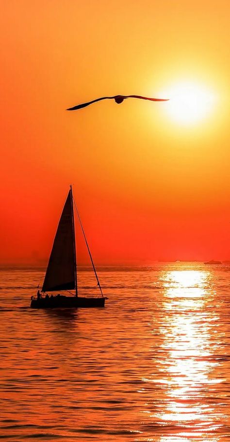 Sunrise Drawing, Beach Sunset Painting, Huawei Wallpapers, Boat Drawing, Nature Iphone Wallpaper, Silhouette Painting, Sunset Wallpaper, Setting Sun, Foto Art