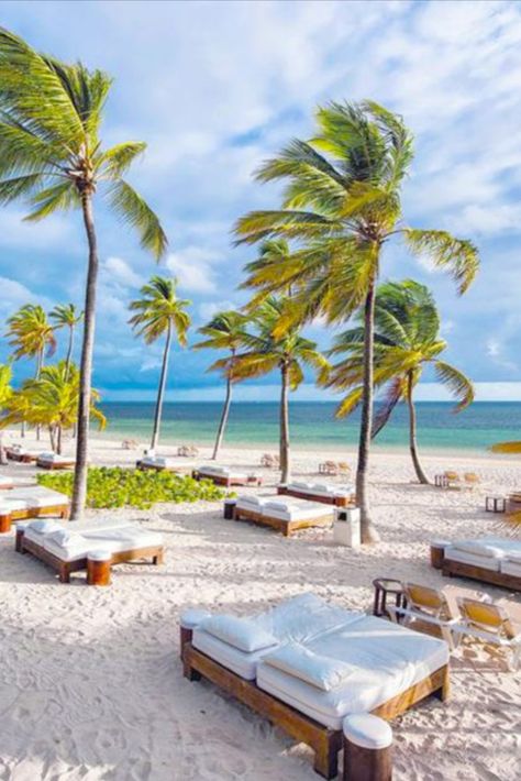 Dominican Republic Beaches, Punta Cana Beach, Best Beach In Florida, Tropical Destinations, Golf Resort, Vacation Places, Punta Cana, Florida Beaches, Dream Destinations