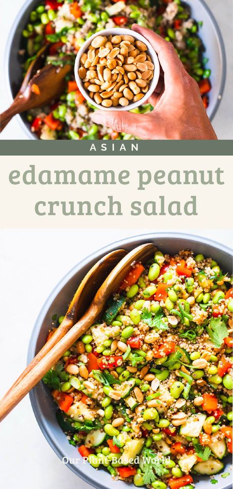 Discover the sensational flavors of our Quinoa Edamame Salad with Asian Salad Dressing, designed to invigorate your taste buds and refuel your body. Add excitement to your meal prep with this quick and easy recipe that's sure to impress. Edamame And Cucumber Salad, Edamame Crunch Salad, Peanut Crunch Salad, Asian Edamame, Edamame Recipes Salad, Quinoa Edamame, Peanut Crunch, Asian Salad Dressing, Edamame Recipes