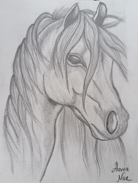 Horse Sketch Art, Horse Art Drawing, Pencil Drawing Images, Horse Sketch, Nature Art Drawings, Animal Drawings Sketches, Pencil Sketch Images, Cool Pencil Drawings, Horse Drawings