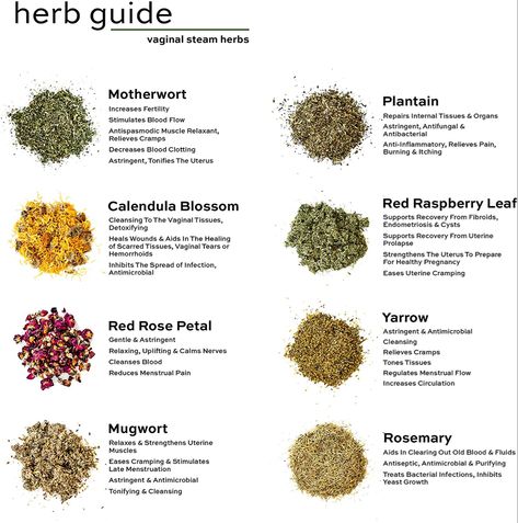 Herb Guide, Herbal Steam, Womb Healing, Medical Herbs, Magic Herbs, Magical Herbs, Herbal Apothecary, Natural Healing Remedies, Herbal Healing