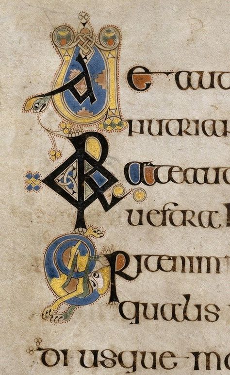 Book Of Kells Art, The Book Of Kells, Celtic Artwork, Artists Book, Ancient Scripts, Trinity College Dublin, Medieval Artwork, Irish Mythology, Illustrated Manuscript