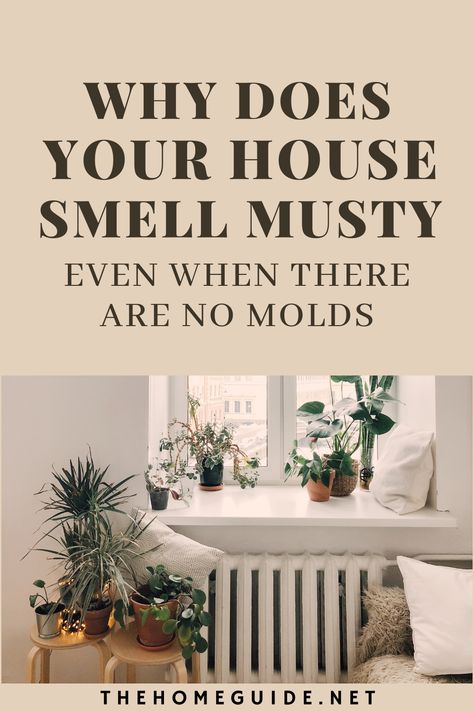 Musty Smell In House, Deodorize House, Old House Smells, Basement Odor, Clean House Smell, Make Your House Smell Good, Mold Smell, House Smell Good, Smells Good