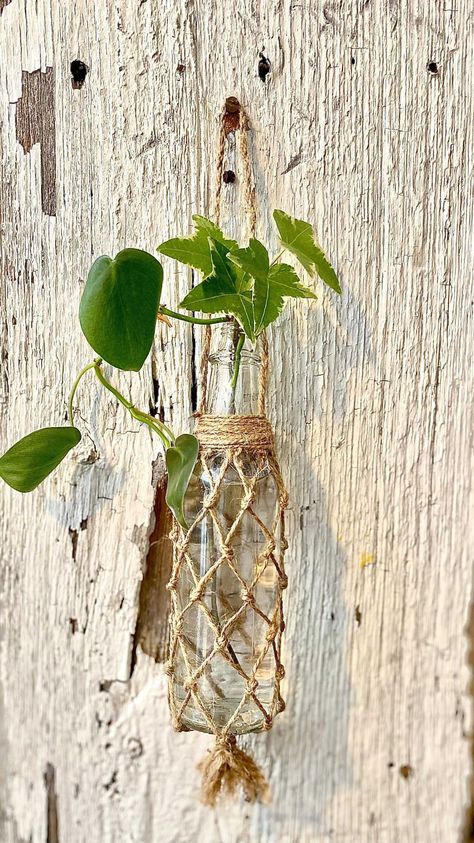 Glass barbecue sauce bottle made into a beautiful boho plant hanger🌿 #boho #bohostyle #handmade #bohemian Sauce Bottle Craft, Boho Plant Decor, Boho Plant Hanger, Diy Table Top, Empty Wine Bottles, Plant Pot Diy, Glass Bottle Diy, Cadeau Diy, Home Decor Projects