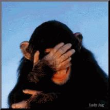 Laughing LOL GIF - Laughing LOL Haha - Discover & Share GIFs Monkey Gif, Regnul Animal, Funny Emoticons, A Monkey, Monkeys Funny, Funny Emoji, Love Images, Animal Gifs, Funny Images