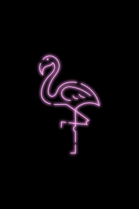 Flamingo Aesthetic, Pink Flamingo Wallpaper, Flamingo Wallpaper, Creative Background, Pink Wallpaper Iphone, Pink Flamingos, Pink Wallpaper, Black Aesthetic, Back To Black