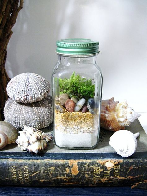 Nature Study Terrarium: Layered Natural Elements by DoodleBirdie Jar Terrarium, Cactus Terrarium, Terrarium Jar, Aquascape Design, Miniature Terrarium, نباتات منزلية, Mini Terrarium, Terrarium Ideas, Mini Gardens