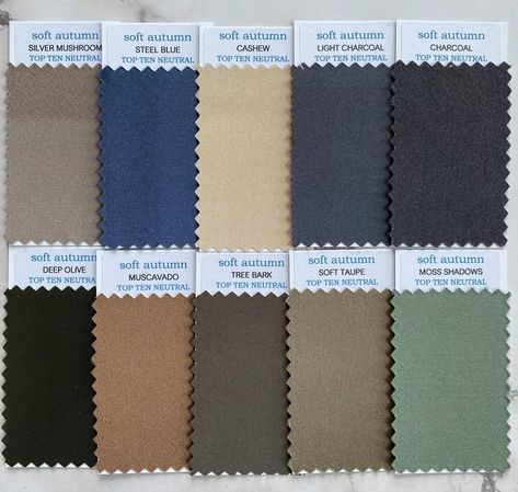 Neutral Swatches, Senior Tips, Soft Autumn Deep, Autumn Color Palette Fashion, Soft Autumn Palette, Autumn Dark, Soft Autumn Color Palette, Soft Summer Palette, Soft Summer Color Palette