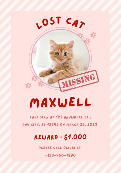 😄==> Download Free Template On Canva Link HERE : https://www.canva.com/p/itim2101/ <==😄 pink,cute,lost,cat,pet,animal,missing,wanted,find,reward Lost Cat Poster, Missing Cat Poster, Yellow Pastel, Cat Poster, Lost Cat, Cat Posters, Cat Pet, Poster Template, Pets Cats