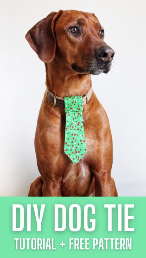 Dog Tie FREE Sewing Pattern and Tutorial - Sewing 4 Free Dog Bow Tie Diy, Dog Bow Tie Pattern, Tie Pattern Free, Puppy Crafts, Pet Crafts, Dog Bandana Pattern, Dog Neck Tie, Dog Sewing Patterns, Colorful Hairstyles