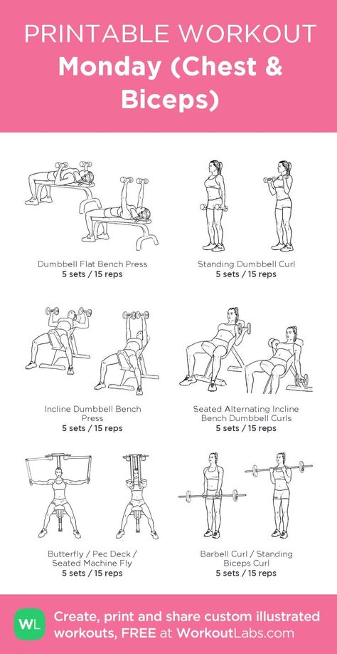 Gym Workout Chest For Women, Workout Sets And Reps Gym, Chest And Biceps Workout Women, Biceps Chest Workout, Womens Planet Fitness Workout, Back Workout Women Gym Weights, Chest And Bicep Workout Gym, Bicep And Chest Workout Women, Gym Workouts Women Chest