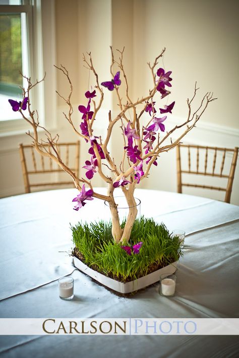 Butterfly Centerpiece Ideas, Butterfly Centerpiece, Butterfly Centerpieces, Manzanita Branches, Dendrobium Orchids, Centerpiece Ideas, Easter Celebration, Blue Butterfly, Baby Shower Parties