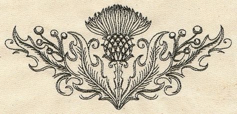 Thistle Tattoo, Thistle Design, Urban Threads, Paper Embroidery, Celtic Art, Illustration Vintage, Celtic Designs, Embroidery Projects, Machine Embroidery Designs