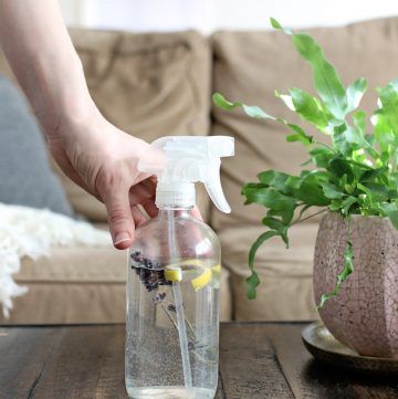 Freshen Up Your Furniture With This DIY Upholstery Spray | Hello Glow Diy Upholstery Cleaner, Essential Oil Bug Spray, Homemade Bug Spray, Diy Upholstery, Citronella Oil, Upholstery Diy, Bug Repellent, Bug Spray, Modern Upholstery