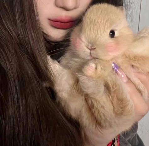 Cute Bunny Pictures, Woman Sketch, Bunny Pictures, Pet Bunny, Pink Girly Things, Bunny Toys, Cat Aesthetic, Crazy Funny Videos, Cute Little Animals