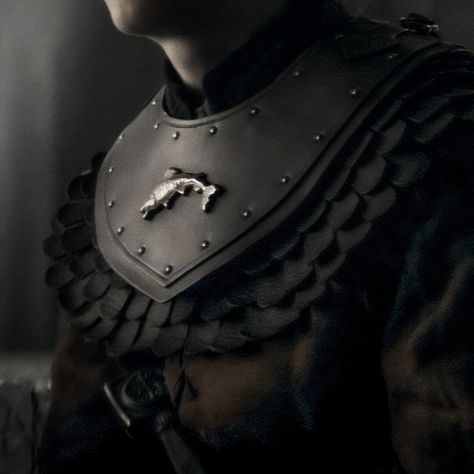 Targaryen King Aesthetic, House Tully Aesthetic, Tully Aesthetic, House Stark Aesthetic, Westeros Aesthetic, Tully House, Fireplace Ashes, Asoiaf Houses, Lannister Aesthetic