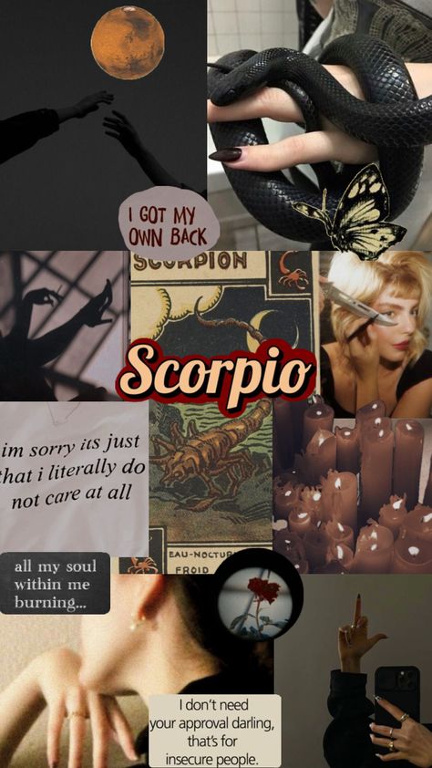 #scorpio #scorpioaesthetic #zodiac #zodiacsign #zodiacaesthetic #aesthetic #collage #vibes Scorpio + Core + Aesthetic, Scorpio Core, Astrology Nails, Zodiac Rising, Aesthetic Scorpio, Scorpio Aesthetic, Scorpio Szn, Tiktok Wallpaper, Scorpio Energy