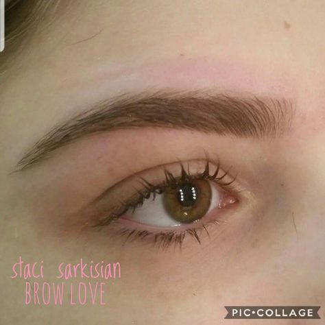 Hi Low Brows, Soft Curved Eyebrows, Thick Shaped Eyebrows, Thick Brown Eyebrows, Brow Ideas Eyebrow Shapes, Arched Eyebrows Aesthetic, Soft Brown Eyebrows, Eyebrow Shape Inspiration, Eyebrow Shaping Soft Arch