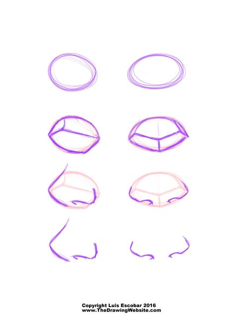 Cartoon Nose FormulasThe Drawing Website | The Drawing Website Ych Base Female, Stylized Nose, Nose Styles, Freddy Moore, Cartoon Nose, Cartoon Noses, رسم كاريكاتير, Nose Drawing, 얼굴 그리기