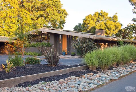 Modern Walkway, Mid Century Modern Landscaping, Mcm Exterior, Mid Century Landscaping, Mid Century Modern House Exterior, Mid Century Landscape, Curb Appeal Landscape, Mid Century Modern Exterior, Landscape Curbing