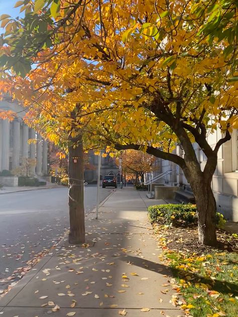 Fall In Pittsburgh, University Of Pittsburgh Aesthetic, Pittsburgh Aesthetic, Chatham University, Pitt University, College Core, City Core, Shot On Iphone, Wall Art Dorm