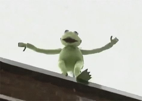 Anime Falling Off Building, Falling From Building, Falling Building, Computer Wallpaper Gif, Discord Pp Gif, Pp Gif, Kermit Gif, Funny Falling, Kermit The Frog Mood