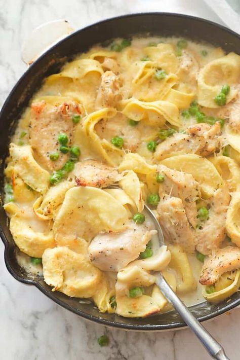 Chicken Tortellini Alfredo - Immaculate Bites Tortellini And Chicken, Chicken Tortellini Alfredo, Tortellini Alfredo, Chicken Tortellini, Alfredo Sauce, Tortellini, Alfredo, Date Night, Chicken Recipes