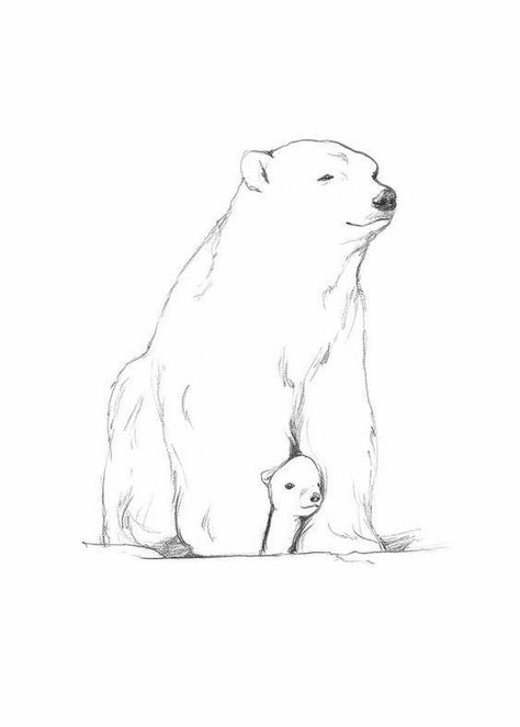 Polar Bear Outline, Bear Outline, Polar Bear Tattoo, Polar Bear Drawing, Bear Sketch, Bear Tattoo Designs, Urs Polar, Polar Bear Art, Baby Polar Bears