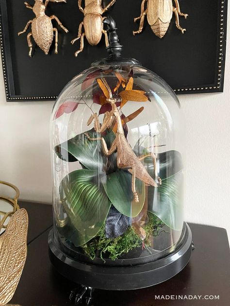 Halloween Terrarium, Halloween Cloche, Mantis Insect, Insect Specimen, Oddities Decor, Faux Gold Leaf, Terrarium Ideas, Victorian Home Decor, Budget Home Decorating