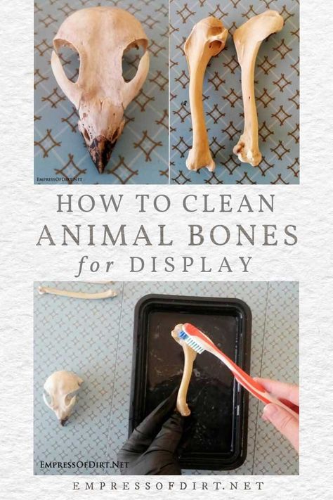 Clean Hacks, Clean Baking Pans, Cleaning Painted Walls, Glass Cooktop, Deep Cleaning Tips, Animal Bones, Clean Dishwasher, Simple Life Hacks, Toilet Cleaning