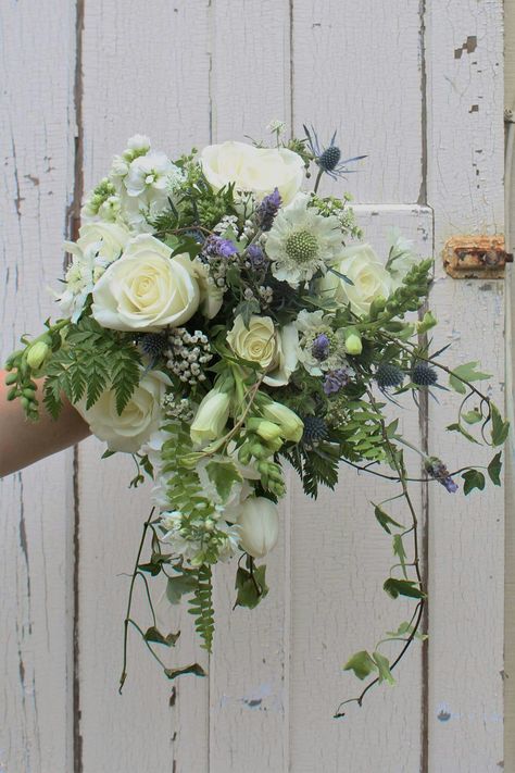 Wedding Bouquet Ivy, Blue Sea Holly, Spring Bridal Bouquet, Bridal Bouquet Spring, Roses Blue, Sea Holly, Bouquet Ideas, Blue Bouquet, Wedding Bouquet