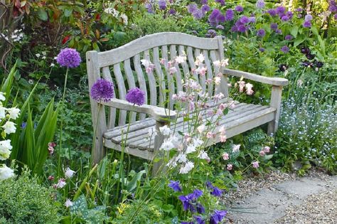 Cottage Garden Border, Garden Bench Ideas, Garden Border Ideas, Cottage Garden Borders, Small City Garden, Cottage Garden Ideas, Country Garden Decor, Pretty Cottage, Garden Decoration Ideas