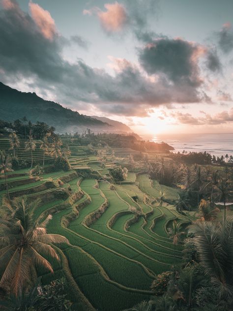 Discover the breathtaking beauty of Asia's terraced rice fields at sunrise or sunset! These lush landscapes are a paradise for adventure seekers, cultural enthusiasts, and photography lovers. 
Which hidden gem in Asia would you love to explore? Share your thoughts!
.
#travelasia #travel #travelphotography #travelgram #asia #wanderlust #travelblogger #travelblog #asiatravel Asian Landscape Photography, Asian Destinations, Asian Landscape, Sa Pa, Rice Fields, Rice Terraces, Breathtaking Beauty, Best Places To Visit, Hidden Gem