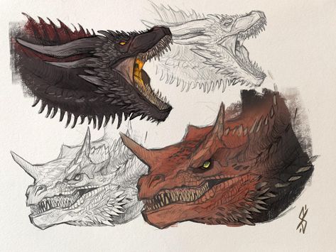 House Of The Dragon Drawing, Dessin Game Of Thrones, Game Of Thrones Dragons, Got Dragons, Dragon Artwork Fantasy, Targaryen Art, Asoiaf Art, Dragon Sketch, Fantasy Beasts