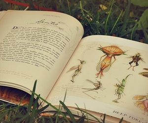 60 images about AF: Newt Scamander on We Heart It | See more about aesthetic, newt scamander and harry potter Spiderwick Chronicles Aesthetic, The Spiderwick Chronicles, Spiderwick Chronicles, Lovely Pictures, Adored Vintage, Natural Curiosities, Holly Black, Field Guide, Magical Creatures