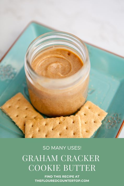 Have you ever had Cookie Butter? It’s delicious! But man, it can get pretty expensive. Over the holidays I created this Graham Cracker Cookie Butter, and it was the perfect gift to give to my neighbors, along with some apples for dipping. This comes together so easily, and can be put on ice cream, toast, to dip, and you can check out these Strawberry Graham Cracker Cookies for a fun recipe! Yum Yum Dessert Graham Crackers, Graham Crackers With Butter And Pecans, Graham Cracker Cookie Butter, Flavored Graham Crackers, Peanut Butter Graham Cracker, Nut Free Candy, Graham Cracker Butter, Graham Cookies, Graham Cracker Cookies