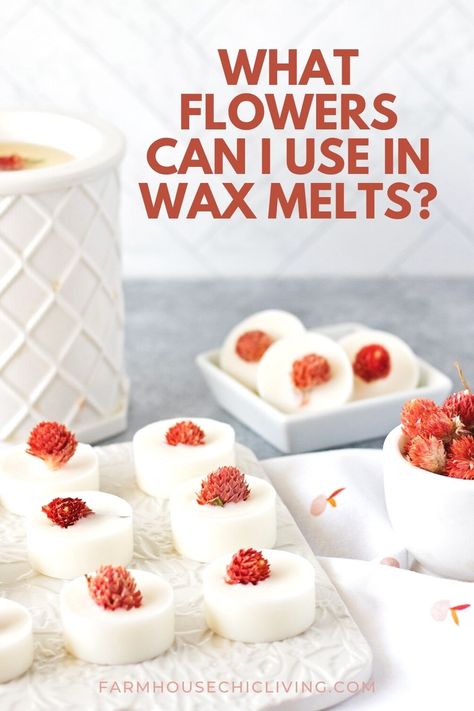 Herbal Wax Melts, Make Wax Melts, Making Wax Melts, Diy Food Candles, Wax Melts Recipes, Diy Wax Melts, Candle Wax Warmer, Melt Recipe, Handmade Wax Melts