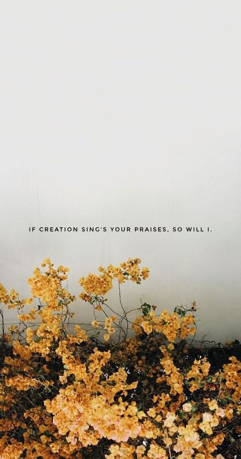 Elevation Worship Wallpaper Aesthetic, To Worship You I Live Wallpaper, If Creation Sings Your Praises So Will I, So Will I Lyrics Wallpaper, Made To Worship Wallpaper, Christian Praise And Worship Aesthetic, Hillsong Worship Wallpaper, Tattoos About Worship, Christian Song Wallpaper Aesthetic