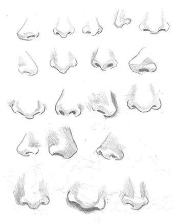 10 Amazing Nose Drawing Tutorials & Ideas - Brighter Craft Realistic Eye Drawing, 얼굴 드로잉, Nose Drawing, 얼굴 그리기, Drawing Faces, Anatomy Drawing, Drawing Lessons, Drawing Tips, Drawing Techniques