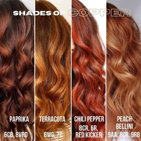 Redken on Instagram: "Prepare for the upcoming week with this #ShadesEQFormula breakdown for #copperhair by @sarabotsfordhair 🇺🇸 Tag a stylist friend who loves experimenting with copper tones. 🧡 #HairLovesShadesEQ" Copper Hair Formula Pravana, Two Tone Ginger Hair, Copper Red Hair Colour, Copper Formula, Red Hair Formulas, Copper Hair Ideas, Redken Formulas, Cowboy Copper Hair, Hair Formulas