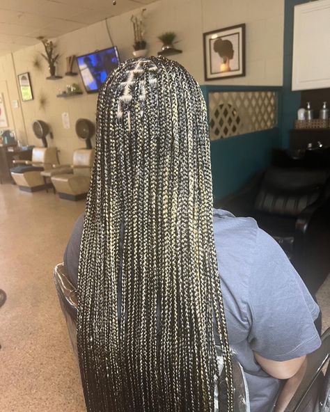 Color mix Medium Braids Knotless, Mix Box Braids Color, Color Mix Box Braids, Mix Color Knotless Braids, Hair Color Mix Braids, Knotless Box Braids Medium Blonde Highlights, Knotless Braids Mixed Colors, Highlighted Knotless Braids, Color Mix Knotless Braids