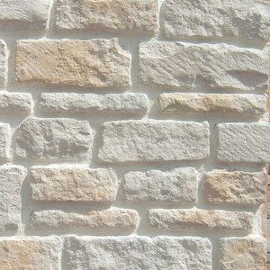 Austin Stone, Patina Farm, Stone Exterior Houses, Stone Wall Design, Stone Exterior, Cladding Materials, Stone Cladding, Exterior Stone, Coral Stone