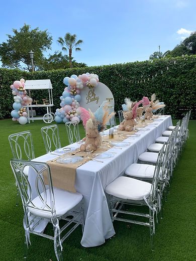 Gender Reveal Chair Decor, Simple Classy Gender Reveal, Gender Reveal Decorations Outdoor Table, Gender Revel Decoracion, Table Decor Gender Reveal, Gender Reveal Tablescape, Backyard Gender Reveal Party Ideas, Gender Reveal Party Set Up, Gender Reveal Table Ideas