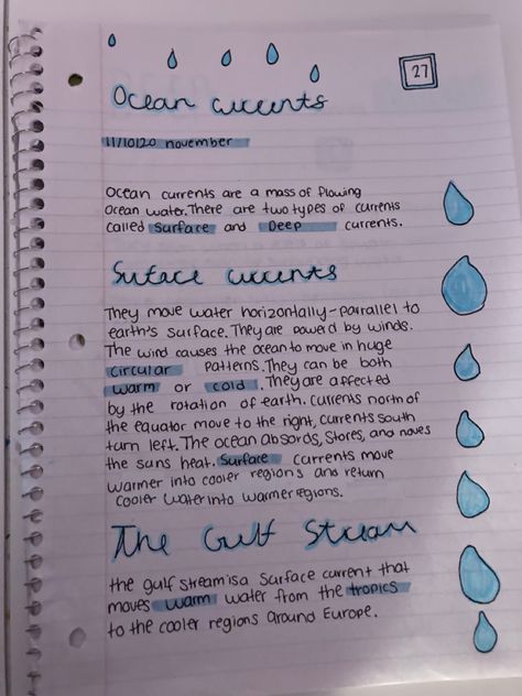 What do your notes look like? Marine Biology Sketchbook, Marine Biology Study Notes Aesthetic, Marine Science Notes, Marine Biology Notes Sharks, Marine Biology Study Notes, Oceanography Notes, Marine Biologist Aesthetic Notes, Marin Biology, Marine Biology Journal