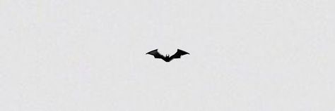 Pinned Post, Twitter Banner, Wallpaper Animes, Header Banner, The Batman, Twitter Header, Aesthetic Girl, Batman, Wallpapers