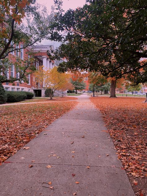 Kentucky autumn with leaves falling on the EKU college campus #fall #autumn #leaves #college #eku #aesthetic College Autumn Aesthetic, Leaving For College Aesthetic, Fall College Aesthetic, College Campus Aesthetic, Campus Aesthetic, Fall Nyc, College Aesthetic, A Little Life, Junior Year